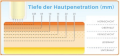 Tiefe der Hautpenetration (mm).png
