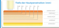 hautpenetration (3).png